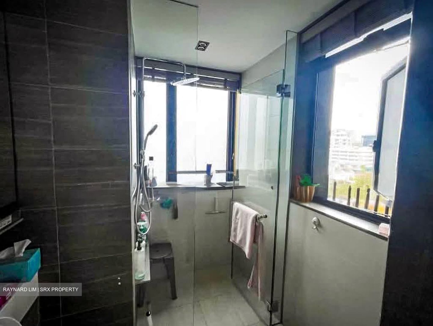 Botanique At Bartley (D19), Condominium #560349691